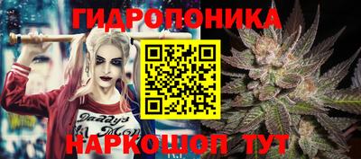 mdma Бийск