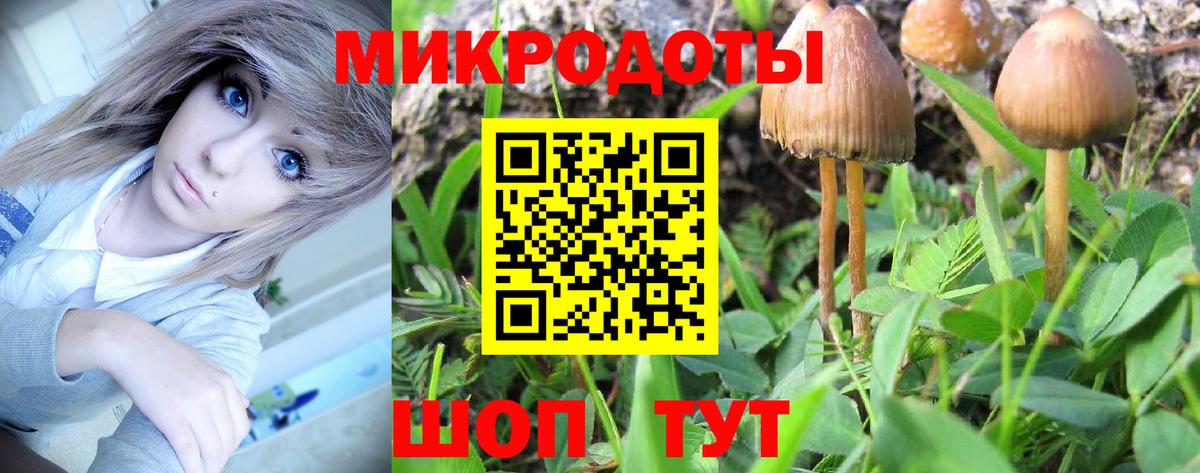 Галлюциногенные грибы GOLDEN TEACHER  Вход с VPN  Каменск-Уральский  закладка  Псилоцибиновые грибы прущие грибы 